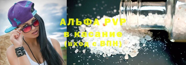 PSILOCYBIN Вязники