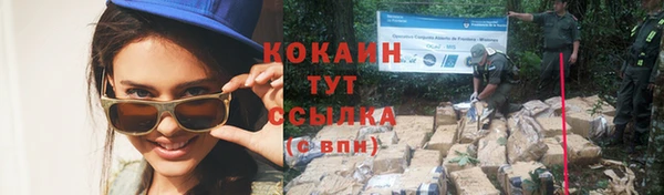 PSILOCYBIN Вязники
