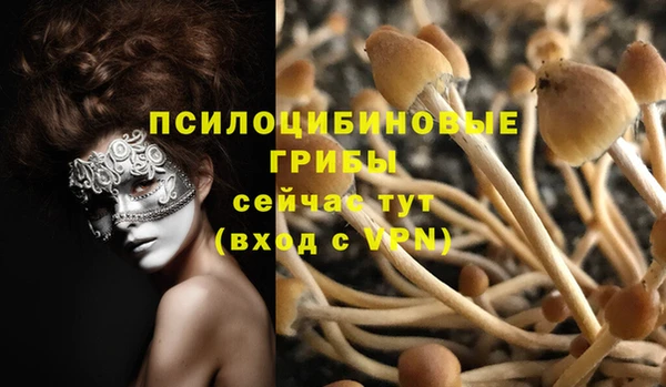 PSILOCYBIN Вязники