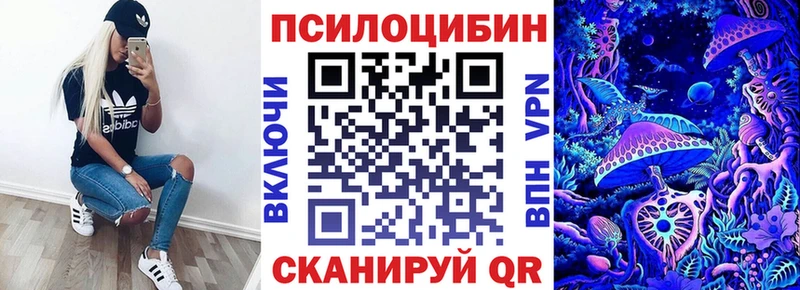 мега   Янаул  Псилоцибиновые грибы Cubensis 